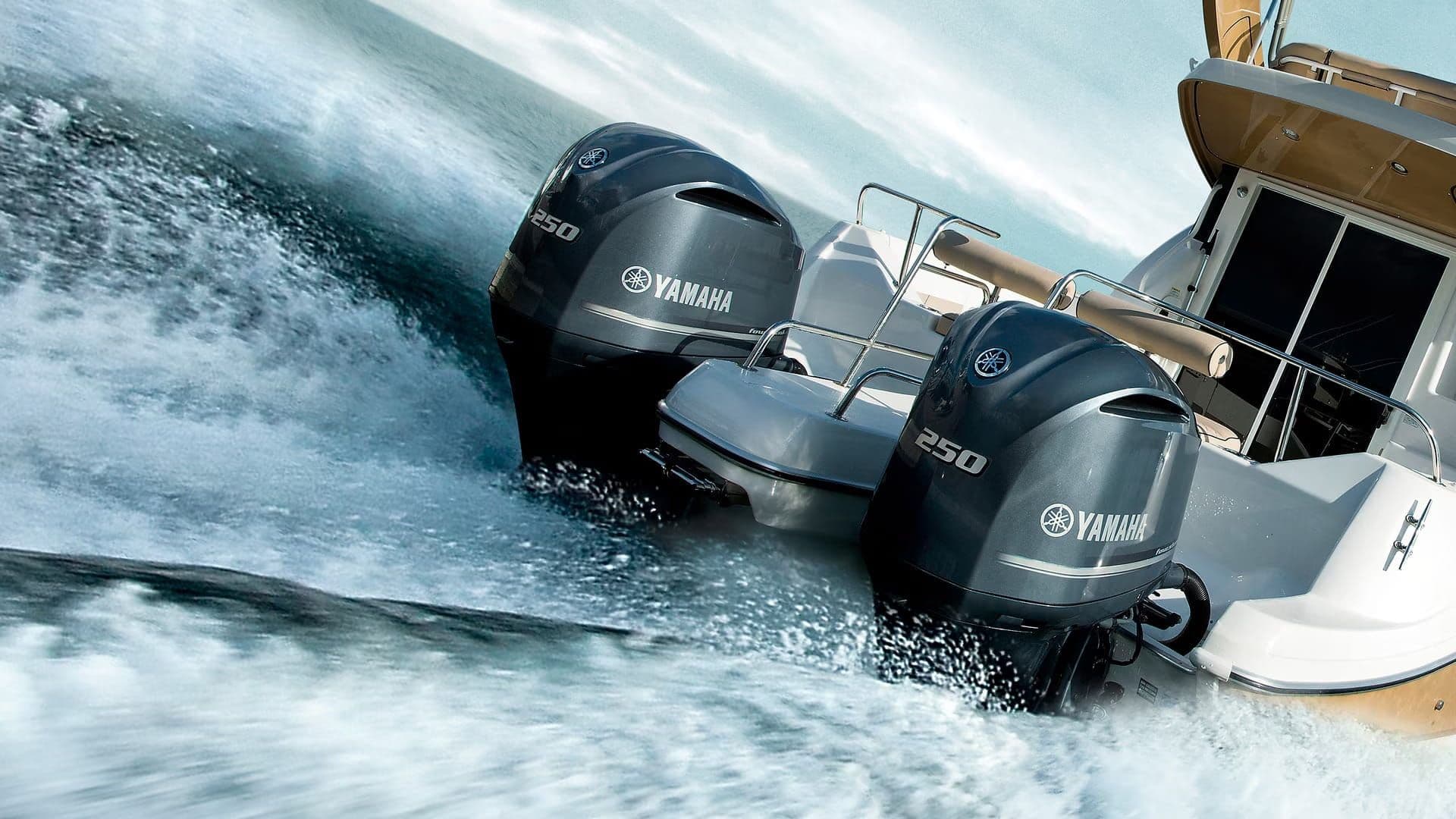 EFICIÊNCIA DE COMBUSTÃO