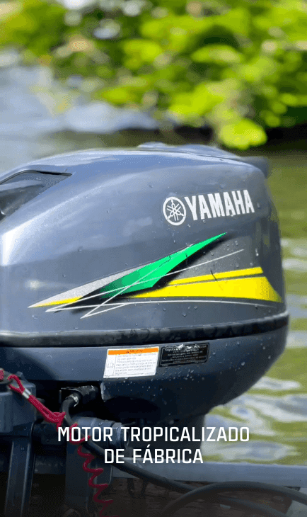 Facilidade de Pilotagem com Sistema RiDE® e Auto Trim