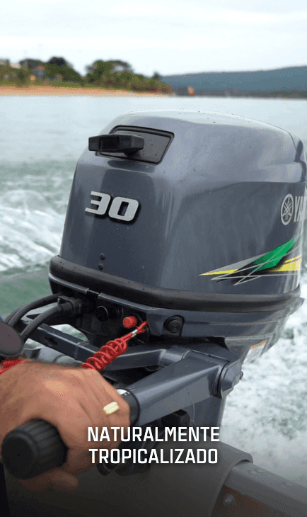 Facilidade de Pilotagem com Sistema RiDE® e Auto Trim