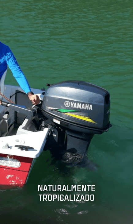 Desempenho Elevado com o Motor TR-1® HO