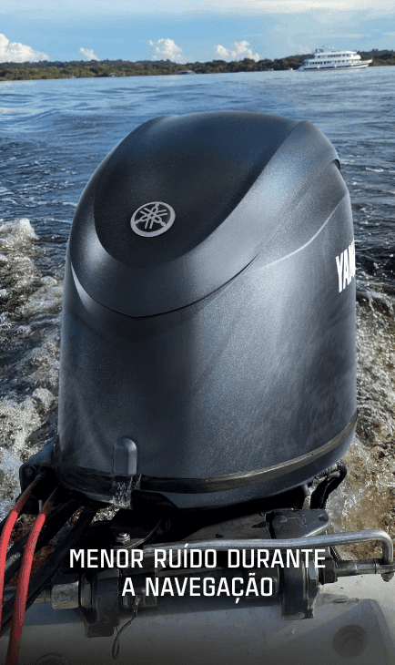 Facilidade de Pilotagem com Sistema RiDE® e Auto Trim