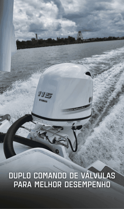 Facilidade de Pilotagem com Sistema RiDE® e Auto Trim