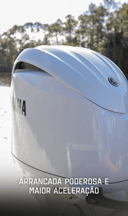 Facilidade de Pilotagem com Sistema RiDE® e Auto Trim