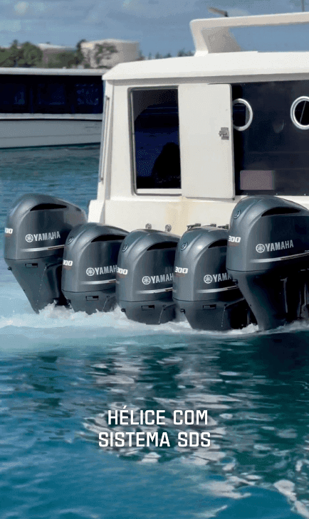 Facilidade de Pilotagem com Sistema RiDE® e Auto Trim