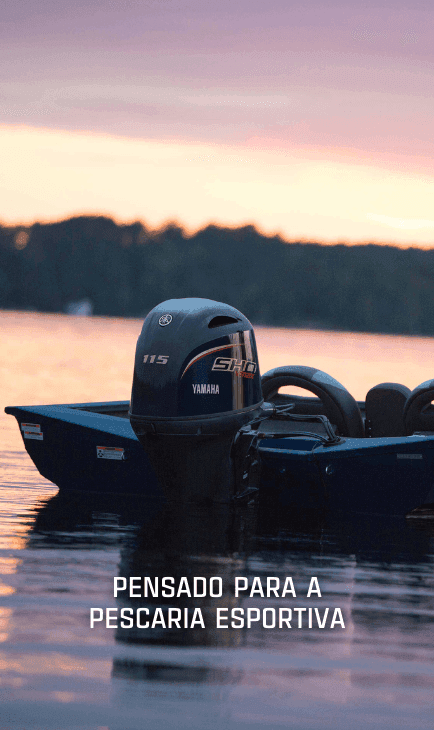 Desempenho Elevado com o Motor TR-1® HO