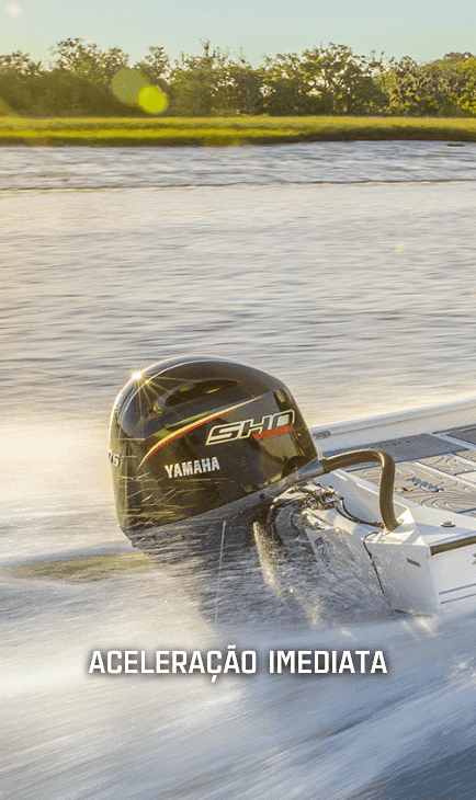 Facilidade de Pilotagem com Sistema RiDE® e Auto Trim