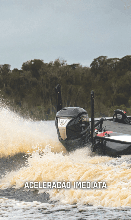 Facilidade de Pilotagem com Sistema RiDE® e Auto Trim